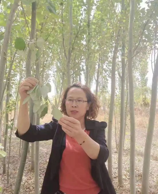 巾帼建完美体育功标兵热议中国妇女十三大召开